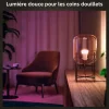 2 ampoules connectées dimmables A60 IP20 E27 1100lm 11W Philips Hue