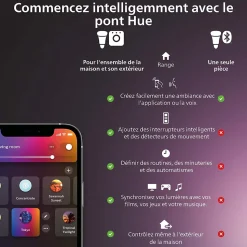 2 ampoules connectées dimmables A60 IP20 E27 1100lm 11W Philips Hue