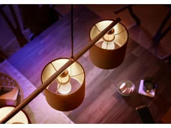 2 ampoules LED connectée Philips Hue IP20 E14 470lm 5,7W blanc chaud