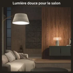 2 ampoules LED connectée Philips Hue IP20 GU10 1100lm 11W blanc