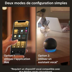 2 ampoules LED connectée Philips Hue IP20 GU10 1100lm 11W blanc