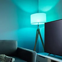 2 Ampoules LED Multicolore Monster Culot A19/E27 12 Possibilités de Couleurs avec Télécommande