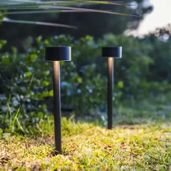 2 Balises solaires à piquer FORTY H30cm