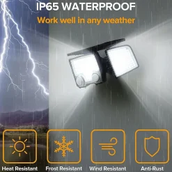 2 Projecteurs solaires sensor RAYLITE 800LM