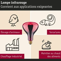 Ampoule à incandescence Infrarouge E27 230V 110lm 250W 1000K gradable Rouge
