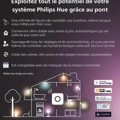 Ampoule connectée connectée dimmable Bluetooth Philips Hue IP20 A60 E27 1100lm 11W multicolore