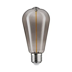 Ampoule LED à filament Floating Shine E27 90lm 2,8W ⌀6,4cm blanc extra chaud, fumé Paulmann