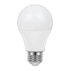 Ampoule LED A60 E27 1055lm 10.5W = 75W Ø6cm Diall blanc neutre