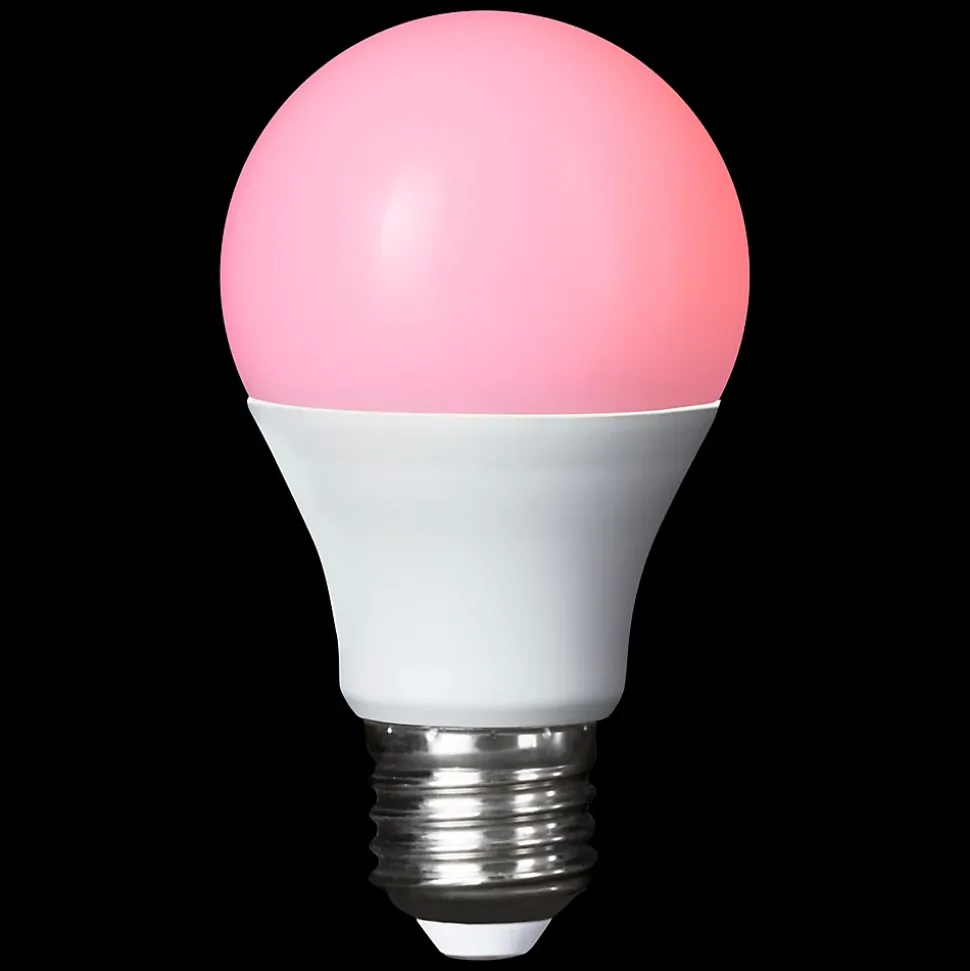 Ampoule LED A60 E27 806lm 8.4W = 60W Ø6cm Diall RVB et blanc chaud