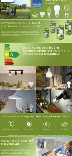 Ampoule LED A60 E27 1535lm=100W blanc chaud Philips ⌀6 cm transparent