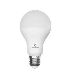 Ampoule LED classique 15W E27 3000k