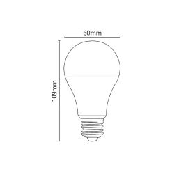Ampoule LED classique 10W E27 12-24V 3000K