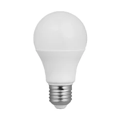 Ampoule LED classique 10W E27 12-24V 3000K