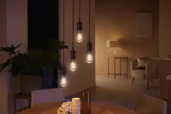 Ampoule LED connectée Philips Hue Edison IP20 E27 550lm 7W blanc chaud