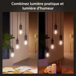 Ampoule LED connectée Philips Hue globe IP20 E27 550lm 7W blanc