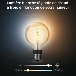 Ampoule LED connectée Philips Hue globe IP20 E27 550lm 7W blanc