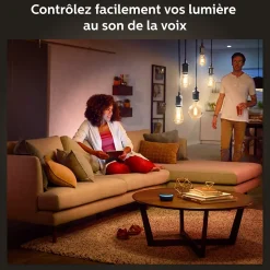 Ampoule LED connectée Philips Hue globe IP20 E27 550lm 7W blanc