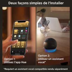Ampoule LED connectée Philips Hue Globe G93 E27 IP20 580lm 7,2W blanc doux