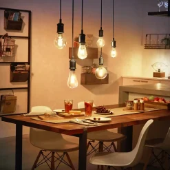 Ampoule LED connectée Philips Hue Globe G93 E27 IP20 580lm 7,2W blanc doux