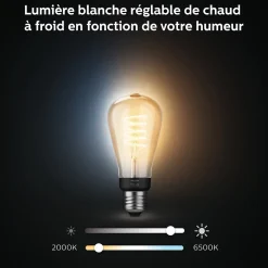 Ampoule LED connectée Philips Hue oblong IP20 E27 550lm 7W blanc