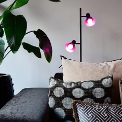 Ampoule LED Connectée Wifi E27 8.5W RGBW A60 (Pack de 10) - SILAMP