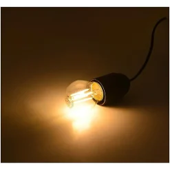 Ampoule LED E27 G45 - Filament 4W - Dimmable - 2700K - Blanc Chaud