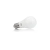 Ampoule LED E27 10W blanc chaud