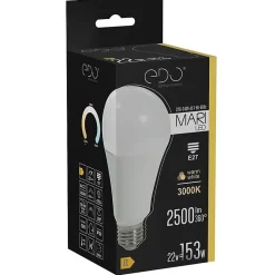 Ampoule LED E27 22W 3000K blanc chaud 2500 lm EDO777507 MARI EDO