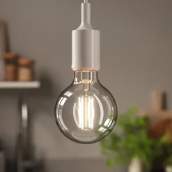 Ampoule LED globe E27 250lm 5W = 25W Ø9.5cm Diall blanc chaud