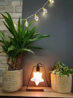 Ampoule LED linéaire E27 20lm 4W blanc chaud ⌀14cm argent