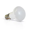 Ampoule LED R39 - E14 - 5W - 4000K - Dépoli - Blanc neutre