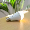 Ampoule LED rechargeable dimmable Lapera blanc IP20 E27 350lm Newgarden
