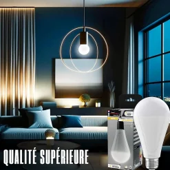 Ampoule LED Rechargeable E27 650LM 4000K - Groupe DDC