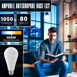 Ampoule LED Rechargeable E27 1050LM 4000K - Groupe DDC