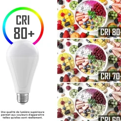 Ampoule LED Rechargeable E27 1050LM 4000K - Groupe DDC