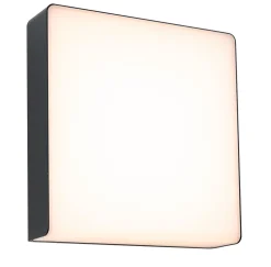 Applique d'extérieur LED Smart Home Zigbee 3.0 Azalena Détecteur de mouvement crépusculaire (HF) favorable aux insectes IP44 250x2