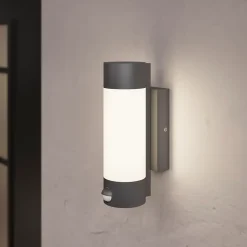 Applique murale à détection Callisto 800lm 14W IP44 GoodHome gris anthracite