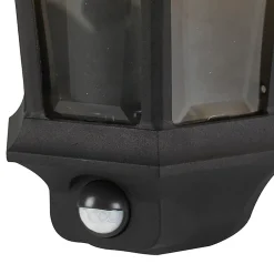 Applique murale à détection Richelieu E27 60W IP44 GoodHome noir