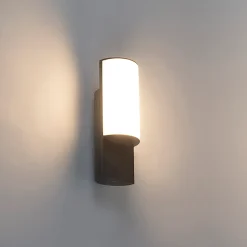 Applique murale d'extérieur moderne gris foncé avec LED - Harry