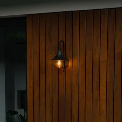 Applique murale d'extérieur classique noire IP44 - Daphne