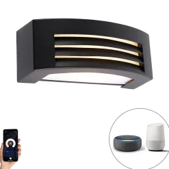 Applique murale extérieure intelligente noire IP44 avec Wifi A60 - Hurricane