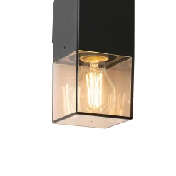 Applique murale extérieure noire avec abat-jour fumé 2 lumières IP44 - Danemark