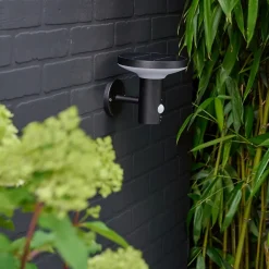 Applique murale extérieure LED intégrée solaire Cowhorn noir 650lm IP44 Goodhome