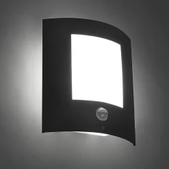 Applique murale extérieure anthracite avec détecteur de mouvement IP44 - Emmerald 1