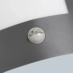 Applique murale extérieure anthracite avec détecteur de mouvement IP44 - Emmerald 1