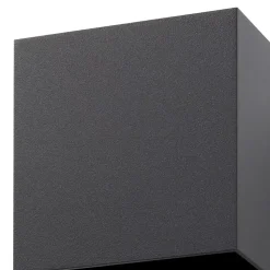 Applique murale LED intégré Katsura 814lm IP44 gris anthracite GoodHome