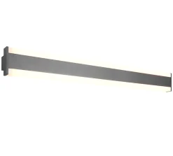 Applique murale LED réglable 3 couleurs IP54 Anthracite - Trio - Dawson