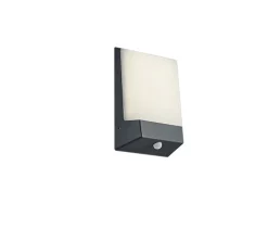 Applique murale LED 9W 3000K IP54 anthracite avec détecteur crépusculaire - Trio - Kasai