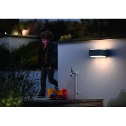 Applique murale Philips myGarden Hedgehog - Anthracite - 1x42W - LED - Extérieur