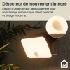 Applique murale solaire LED extérieur noir 900 lm détecteur de mouvement IP54, GoodHome Wendland